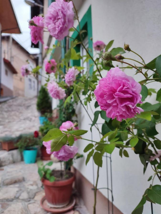 Green Gate Apartments Sarajevo Luaran gambar